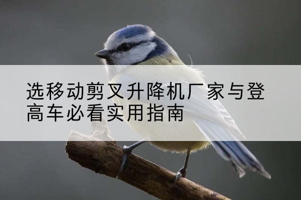 清苑电动升降机厂家-选移动剪叉升降机厂家与登高车必看实用指南
