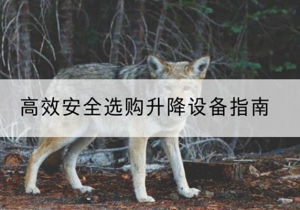清苑升降货梯厂家推荐-*安全选购升降设备指南