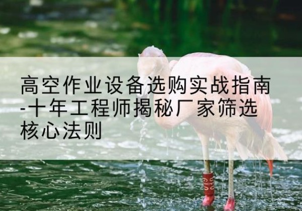 清苑剪叉式升降机厂家-高空作业设备选购实战指南-十年工程师揭秘厂家筛选核心法则